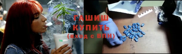стаф Алексин