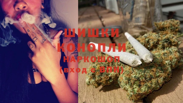 ECSTASY Покачи