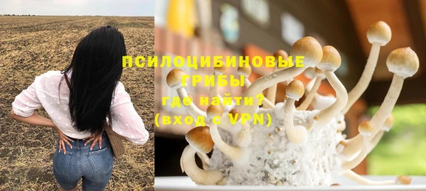 гашик Алзамай