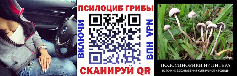 Псилоцибиновые грибы Psilocybine cubensis Цимлянск
