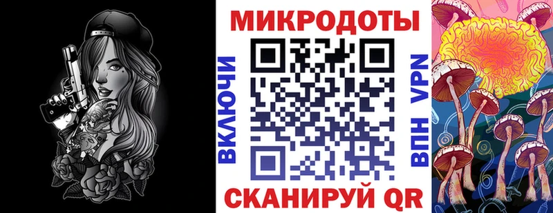 мега   Цимлянск  Галлюциногенные грибы Psilocybine cubensis 